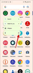 Long-tap on Alexa mobile app and open the info menu