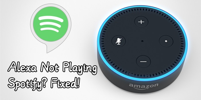 Ways to fix Spotify Not Working With Alexa