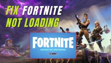 fortnite not loading error