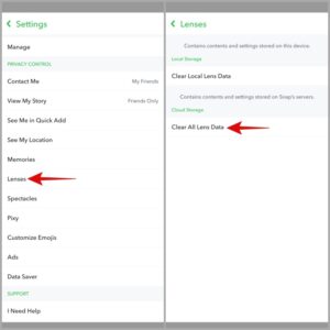 tap on the Clear All Lens Data