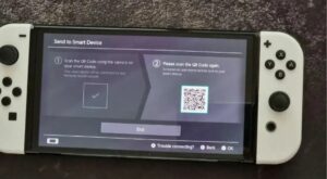 Once connected, the Switch will display
