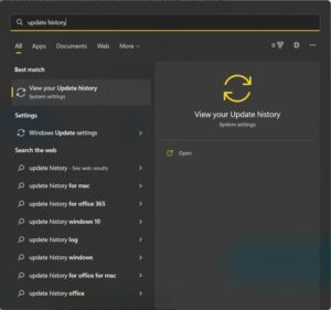 Open the View Update History option available on your computer