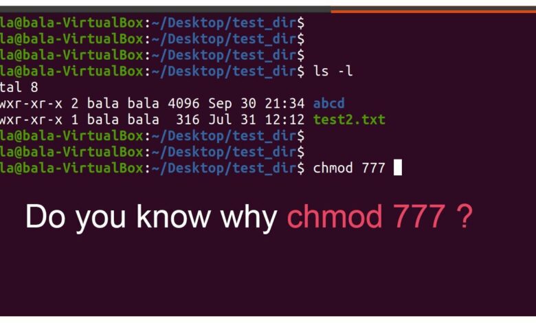 What Is Chmod 777 And How To Use It