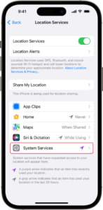 tap on System Services