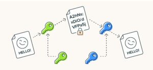 How do SSL certificates work