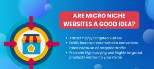 What are the pros and cons of building a micro niche site