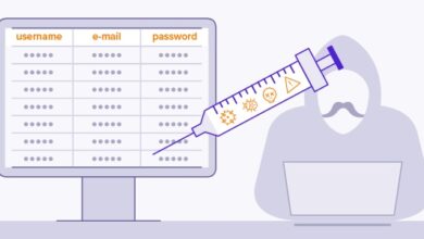 What Is SQL Injection