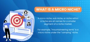 What is a micro niche site