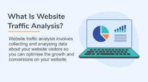 What is website traffic analysis