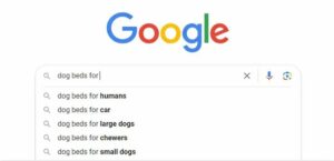 Google Autocomplete 