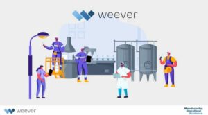 Weever